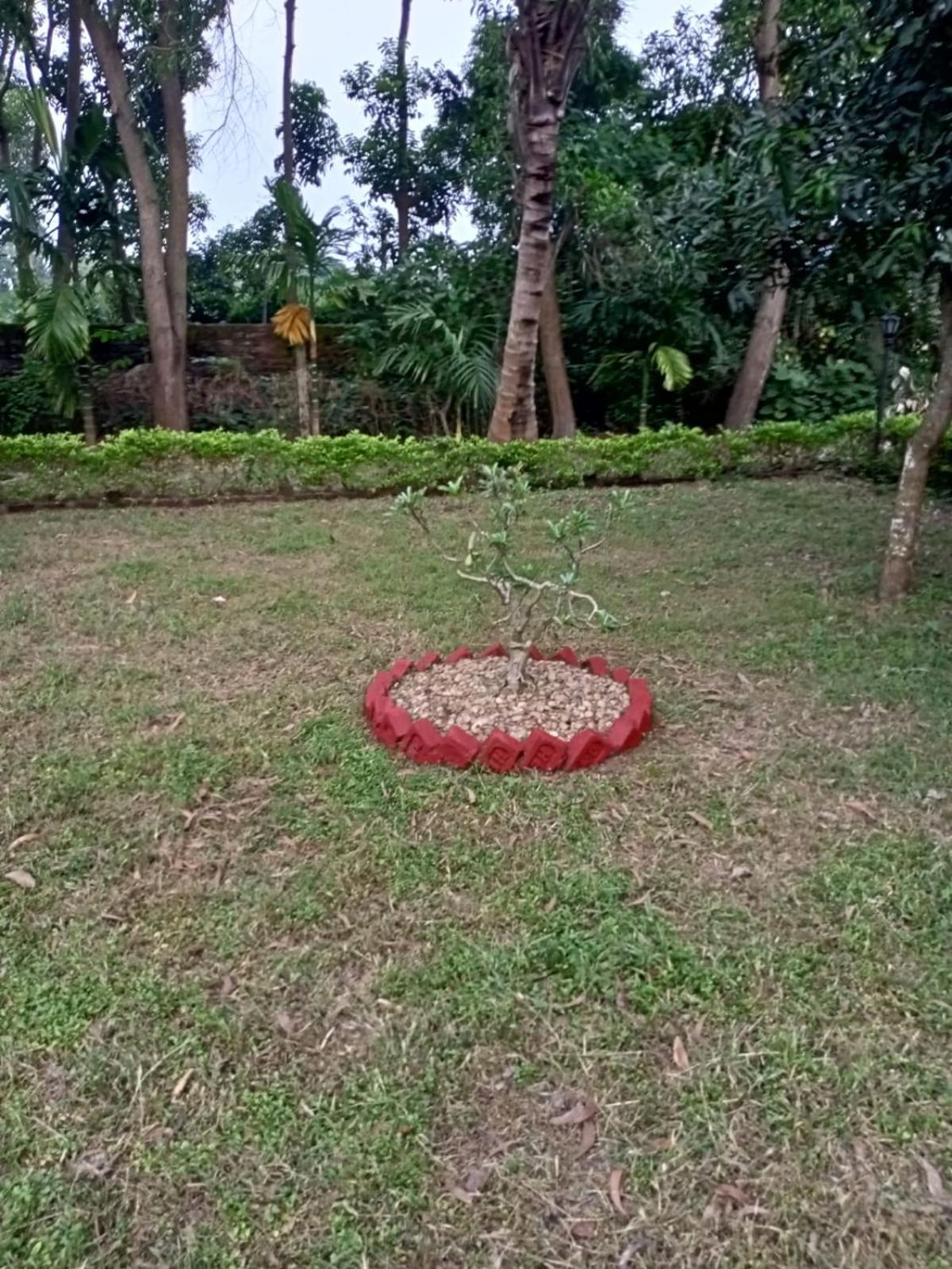 Aranyak Shanti Niketan