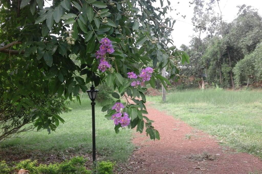 Aranyak Holiday home